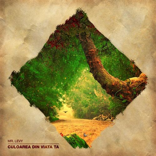 Mr. Levy - Culoarea din viața ta